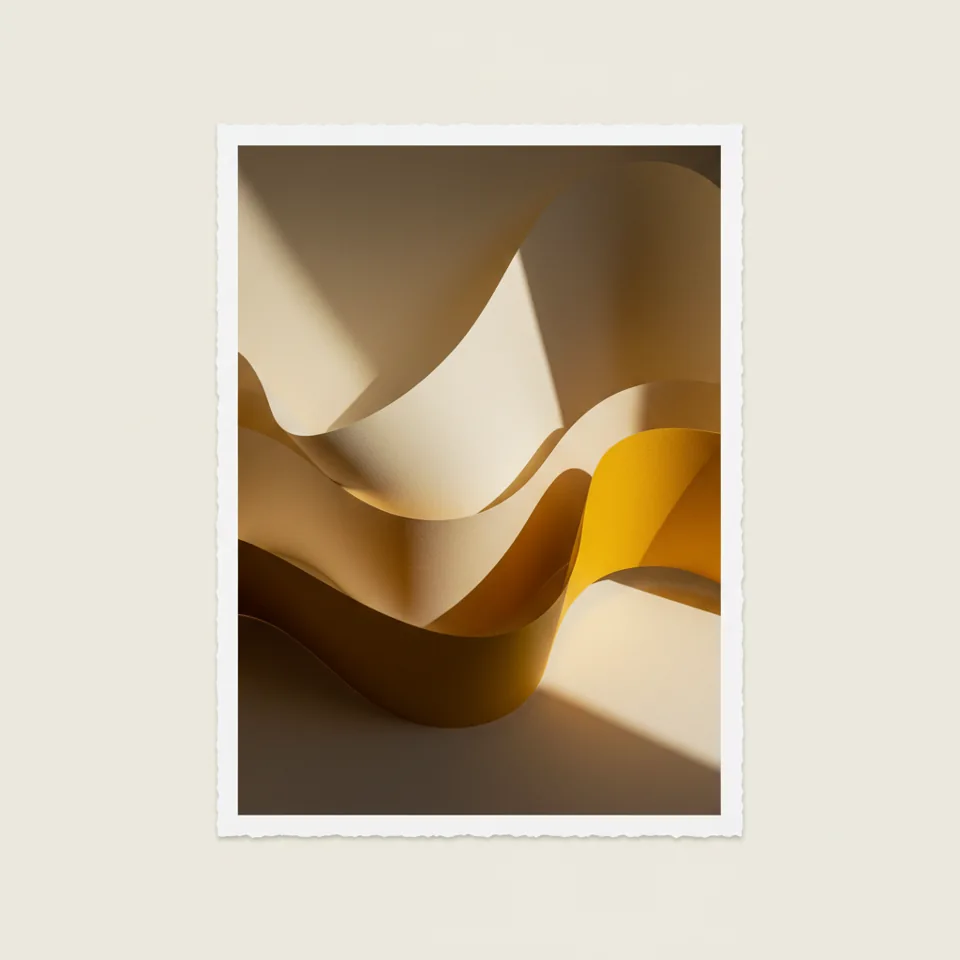 Sunlit Paper Forms — whole unframed photographic artwork
